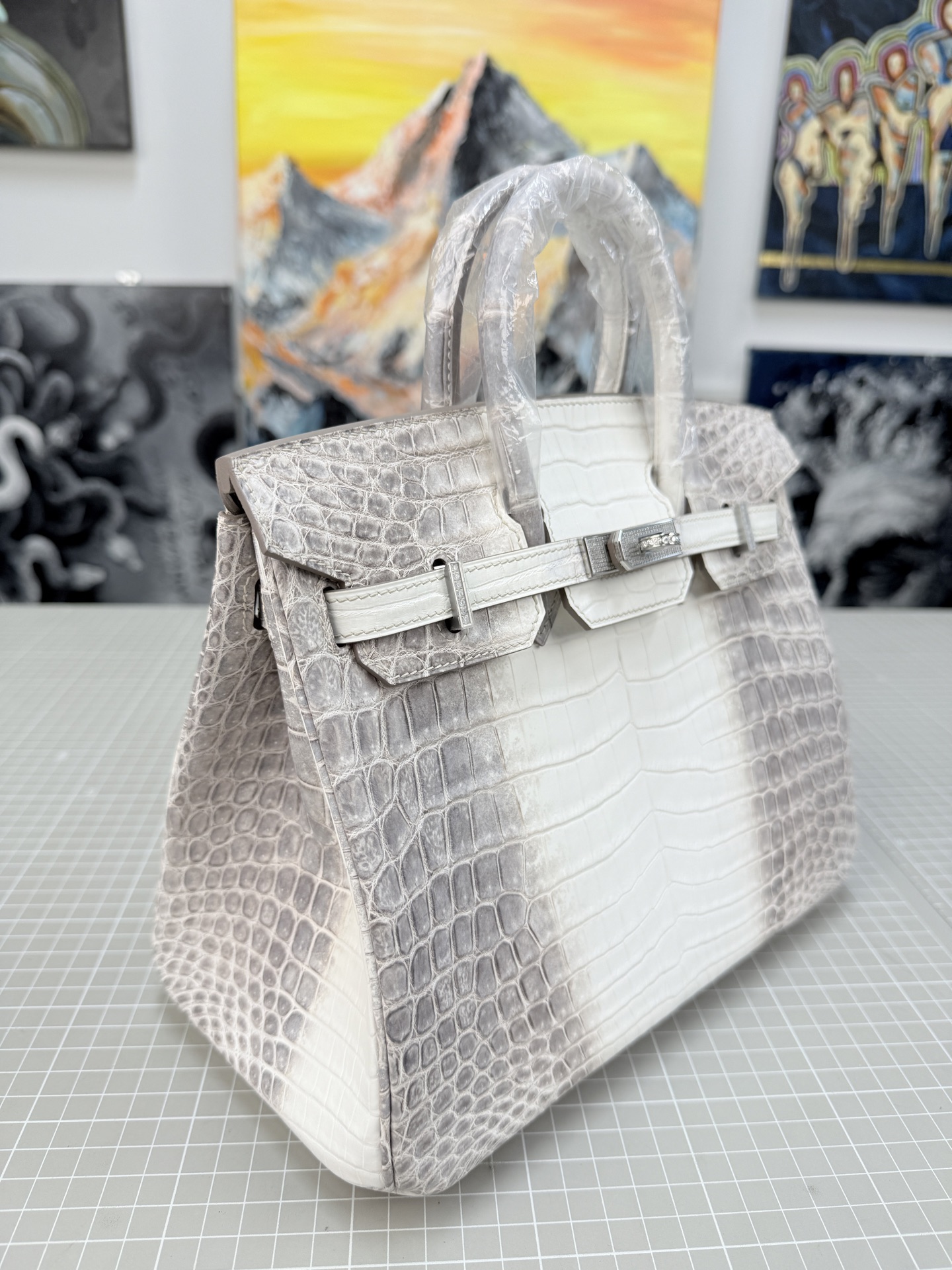 Birkin 25 Himalayan Crocodile