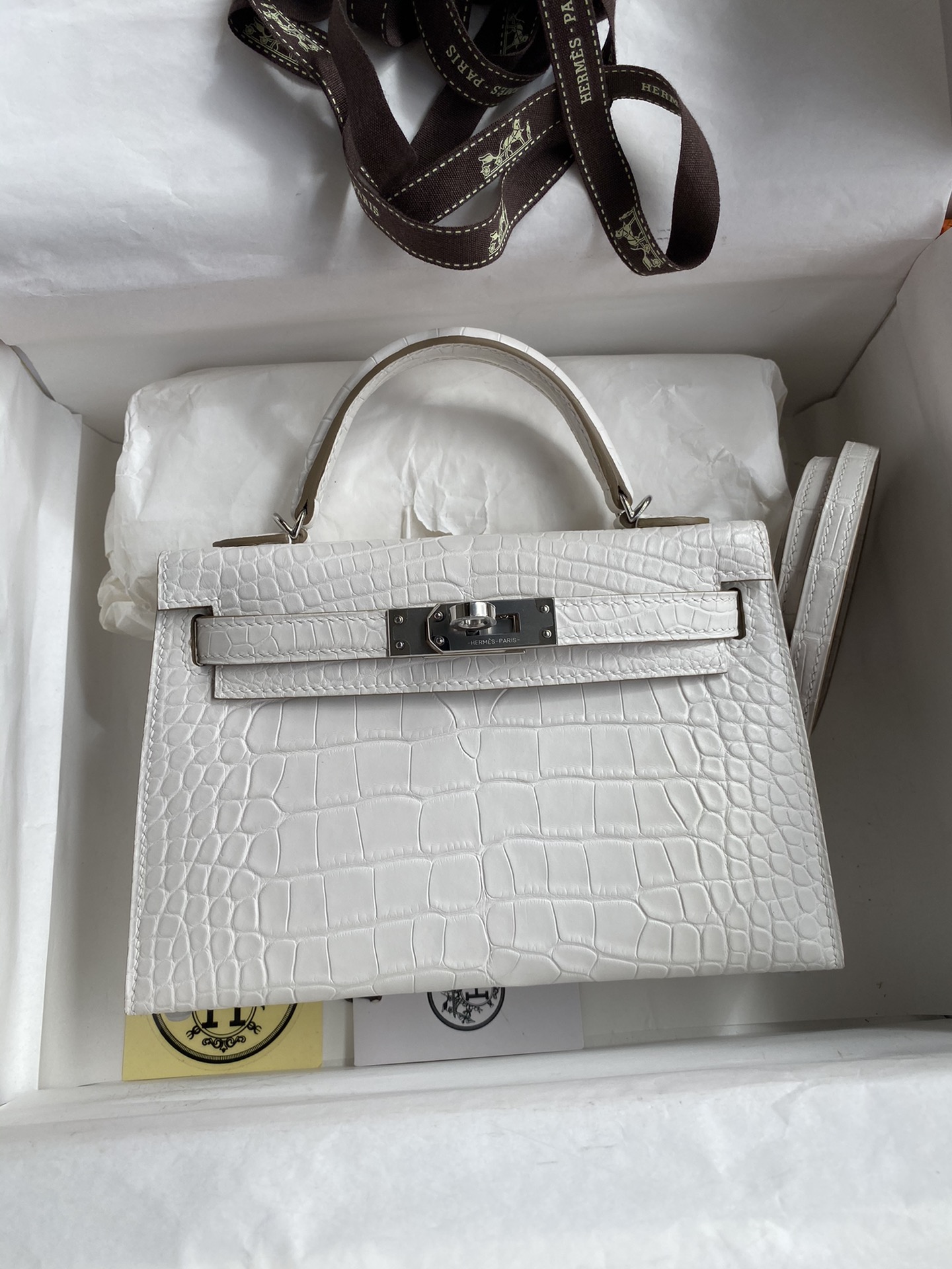 Kelly mini