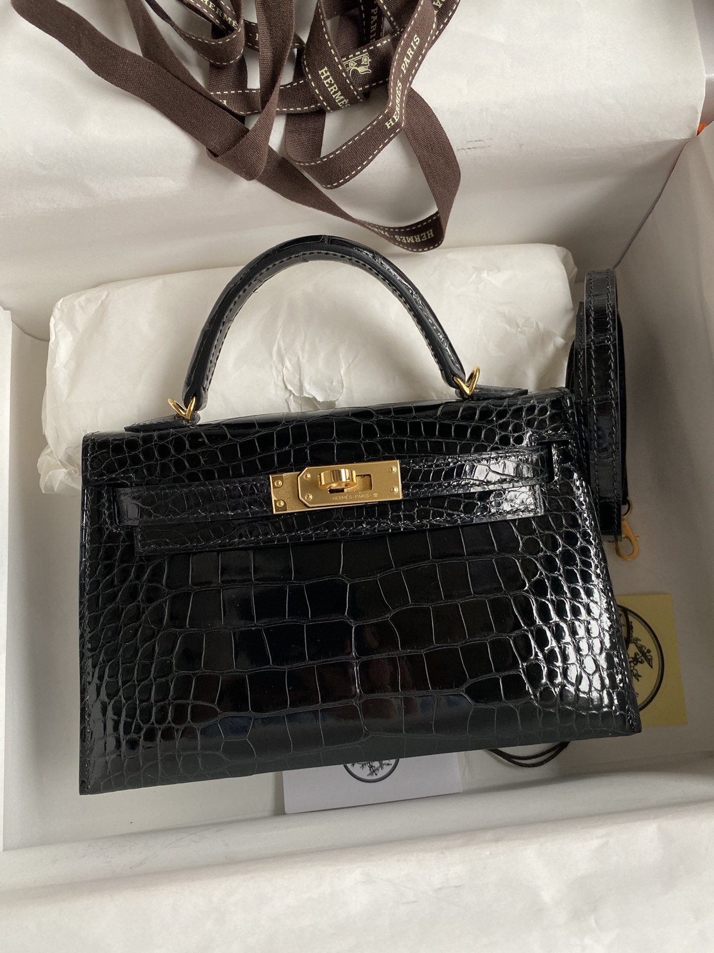 Kelly mini
