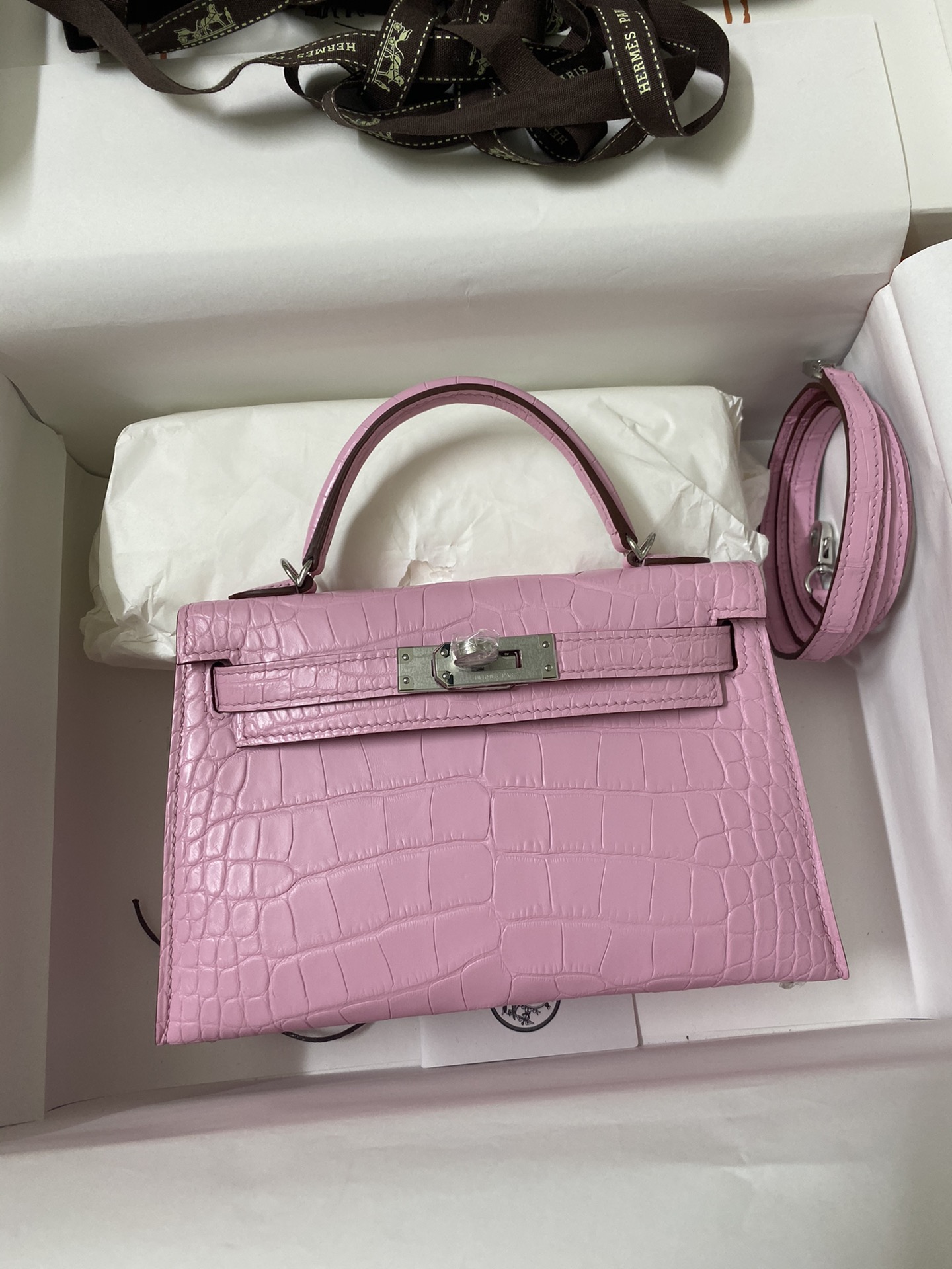 Kelly mini