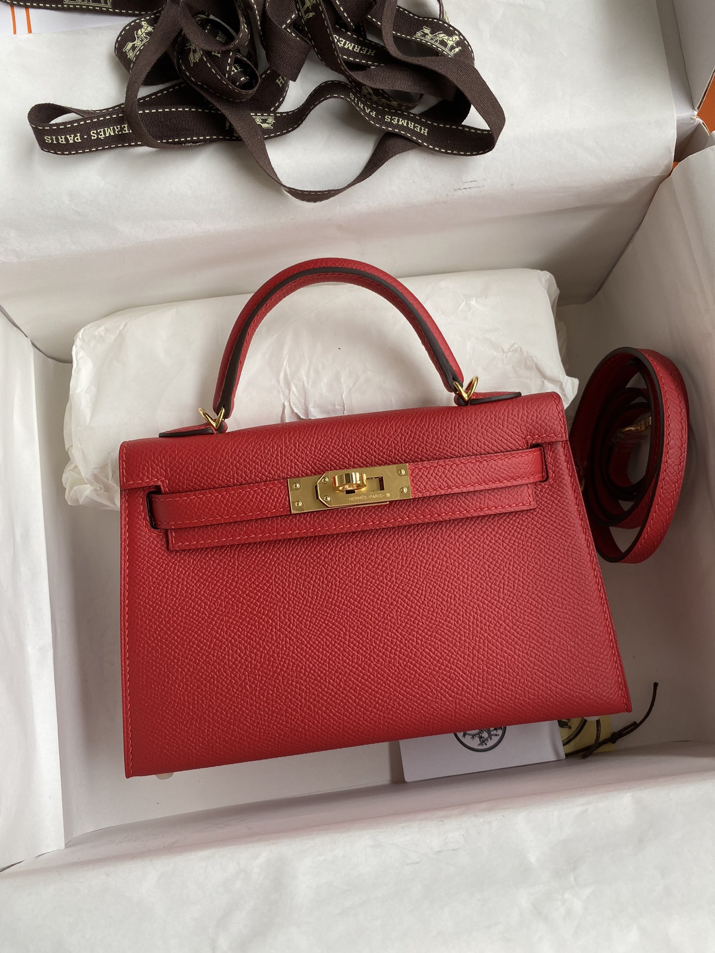 Kelly mini