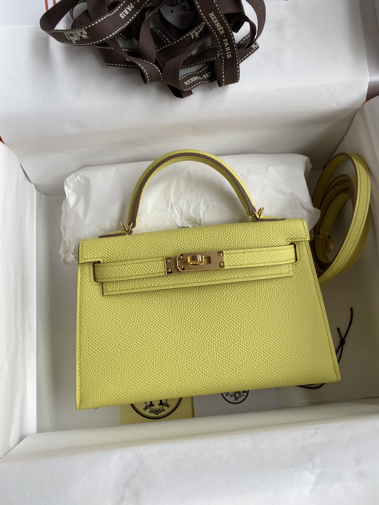 Kelly mini