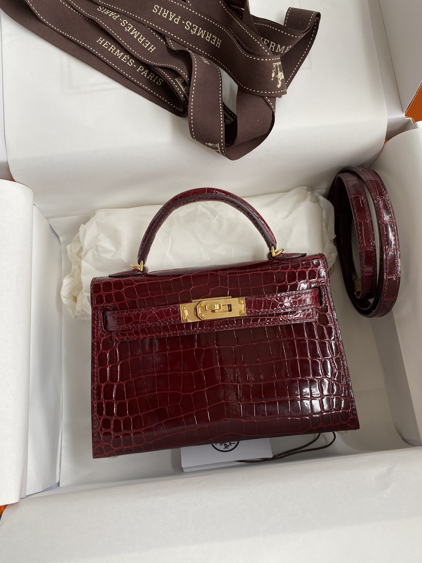 Kelly mini