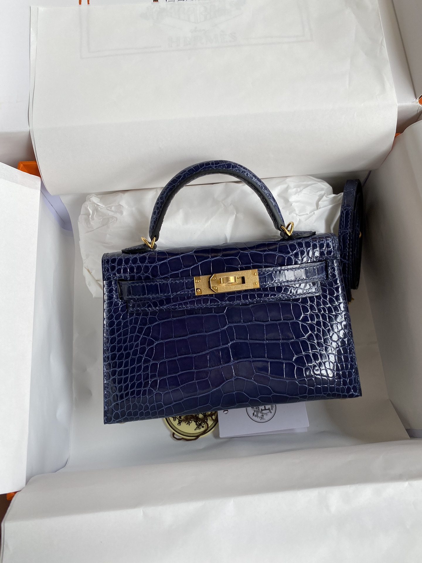 Kelly mini