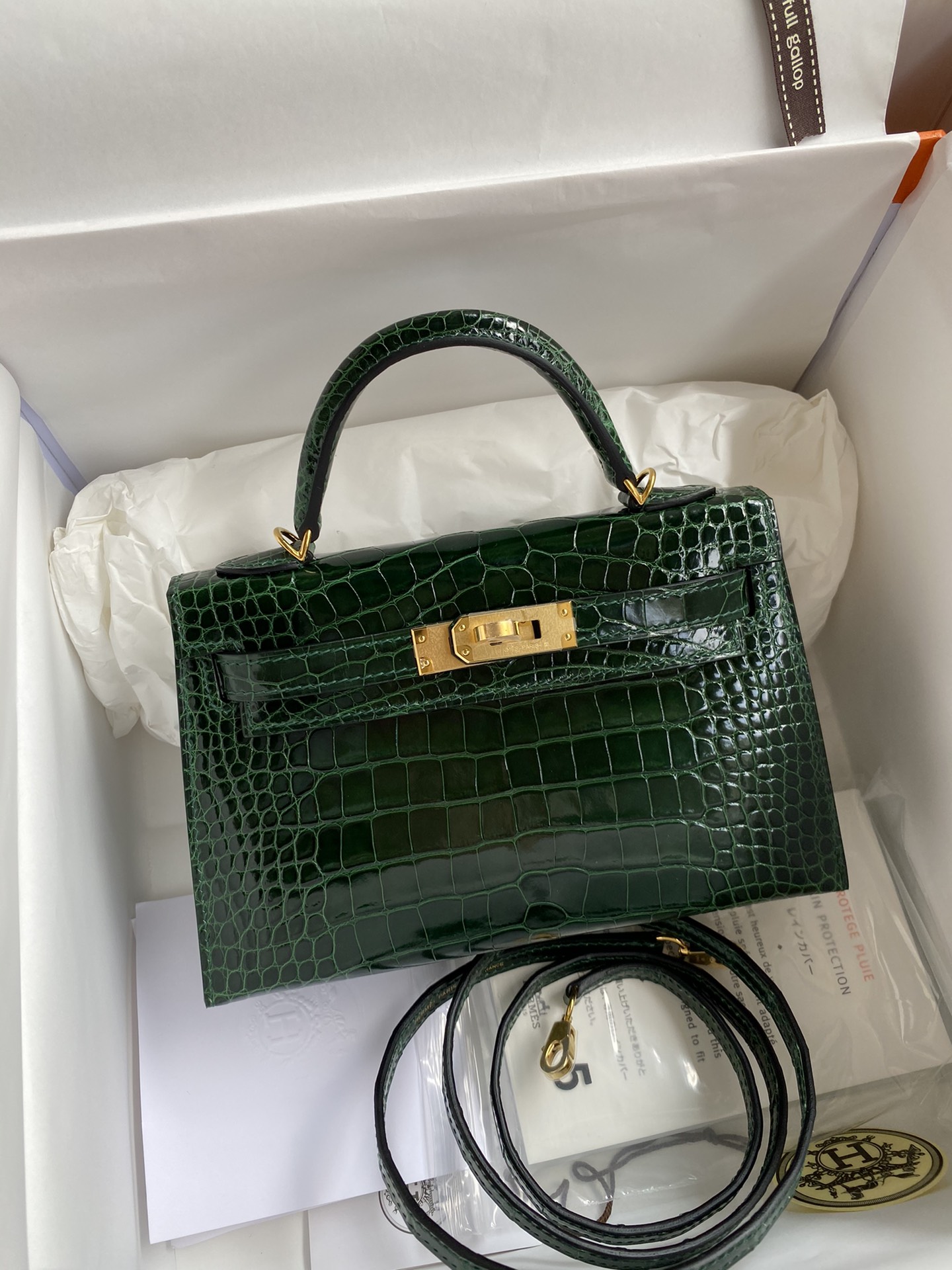 Kelly mini