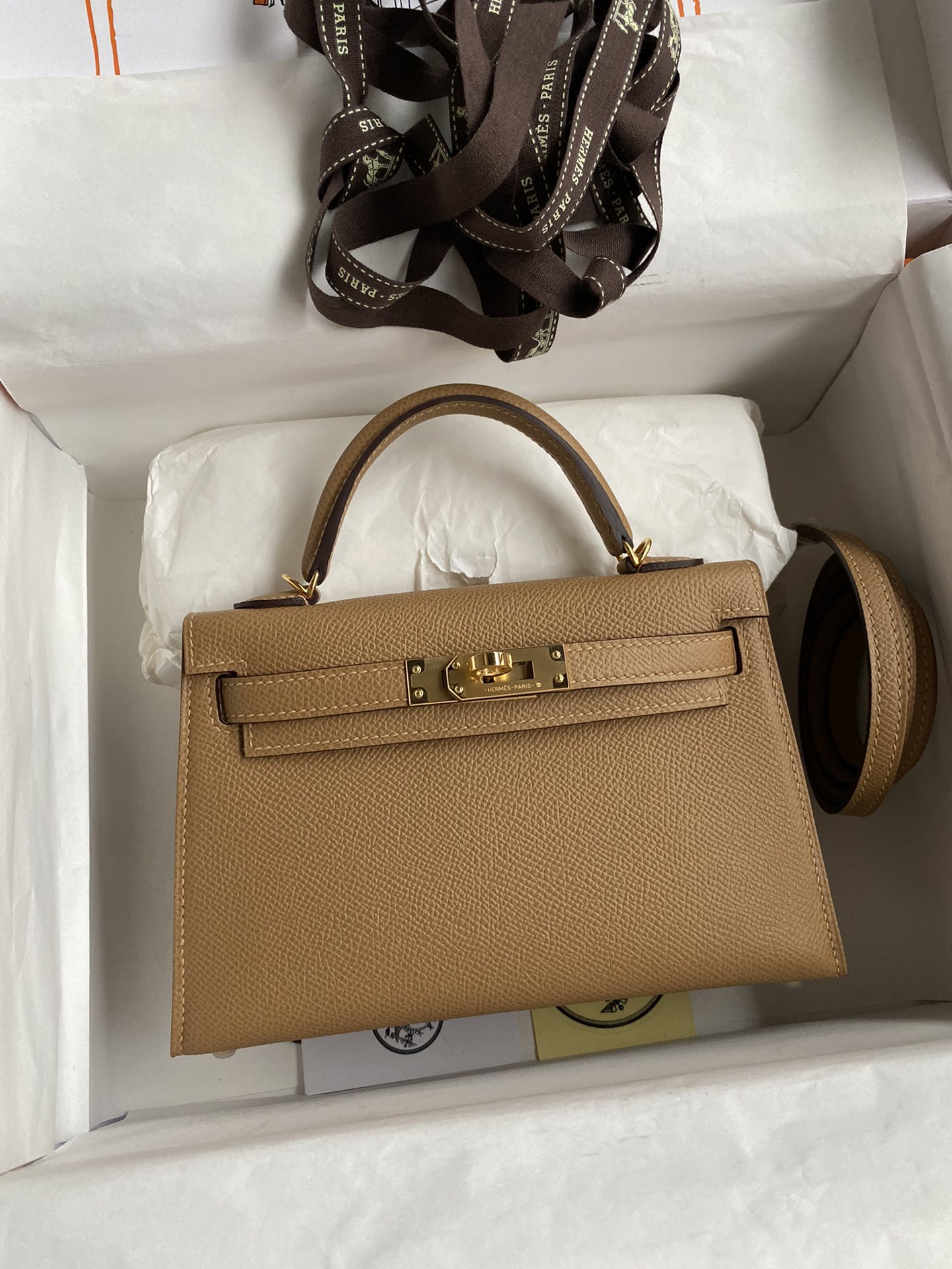 Kelly mini